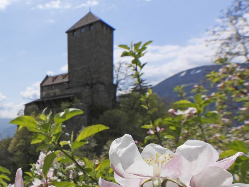 Urlaub in Dorf Tirol